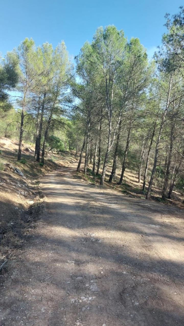 Appartamento Atico-Plaza Algodonales Esterno foto