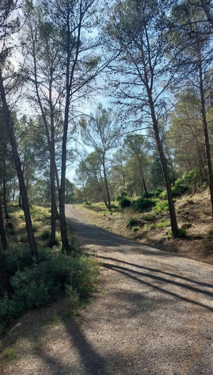 Appartamento Atico-Plaza Algodonales Esterno foto