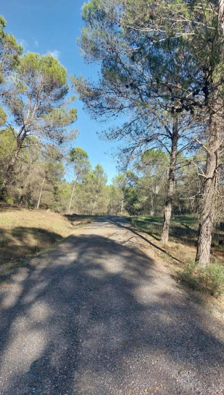 Appartamento Atico-Plaza Algodonales Esterno foto