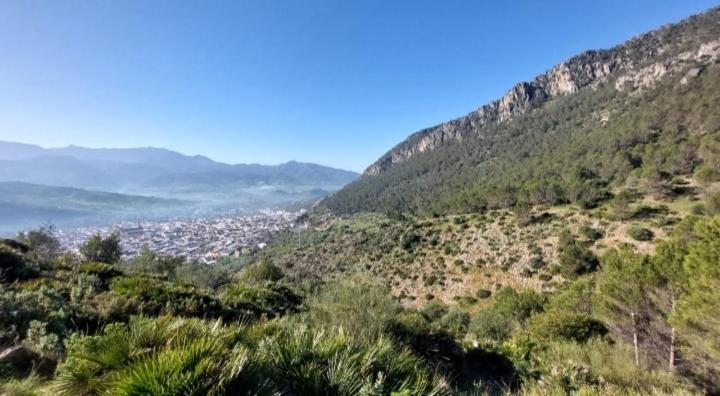 Appartamento Atico-Plaza Algodonales Esterno foto